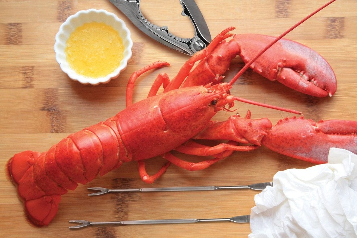 Fox Run Seafood Tool Set – Hometech BOSCH Kitchen Store